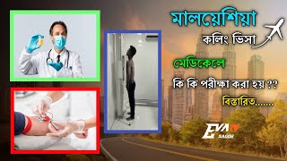 মেডিকেলে কি কি পরীক্ষা করা হয় ?? বিস্তারিত | Malaysia calling visa medical test | Evan Sagor