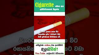 CIGARETTE බොන අය අනිවාර්යයෙන් බලන්න| දැනුවත් වන්න | AYUBOWANආයුබෝවන් #Cigarette #Smoking#MLTAnushika