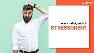 Stressoren (einfach erklärt!)