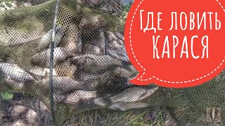 Где в Запорожье ловить карася весной. Рыбалка в Запорожье