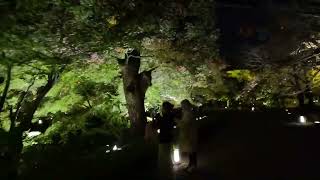 Toji Temple (night view) Five Storied Pagoda