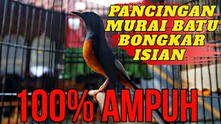 SEKALI PANCING MURAI BATU LANGSUNG BONGKAR ISIAN BOS❗