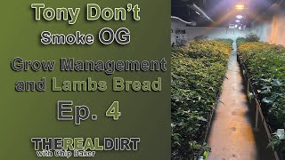 Managing A Grow Operation and Lambs Bread [Tony Don't Smoke OG Ep. 4]