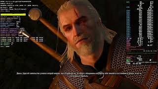 NVK GSP The Witcher 3: Wild Hunt (Proton-experimental DXVK) NV167 TU117M LINUX (Fedora)