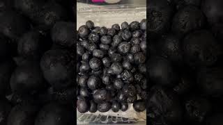 SSI FOOD BUDGET APPROVED 🫐BLUEBERRIES FOR SNACKS #snacks #grocerychats #SENIORCITIZENBERRIESSNACKS