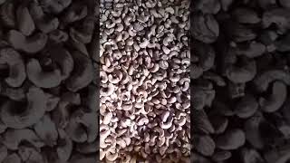 Wholesale dried raw cashew nuts in shell from vietnam  cashews suitable for dairy cereal snacks