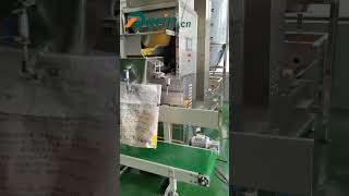 Big Bag Packaging Machine/Big Bag Packing for Dog Food/25kg Dog Food Packing Machine/10kg Packing