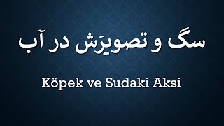 Köpek ve Sudaki Aksi   /   سگ و تصویرَش در آب