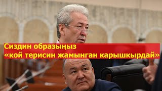 Жеңишбек Токторбаев Мадумаровго сиздин образыңыз «кой терисин жамынган карышкырдай»