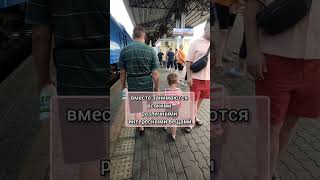 Мой муж ограждает меня от бытовых забот. А как у вас? #shortvideo #shortsvideo #семья #respect #топ