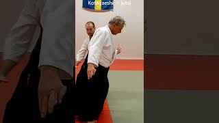 Aikido in slow motion: Techniques on elbow grabs from behind, USHIRO RYO HIJIDORI, by Stefan Stenudd