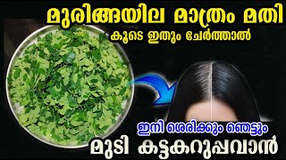 മുരിങ്ങയില ഉണ്ടോ വീട്ടിൽ?? ഒരു പിടി ഇങ്ങനെ ചെയ്താൽ /muringa hair care /poppy vlogs/malayalam