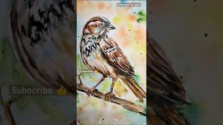 Watercolor painting of a sprrow #watercolor #artshortsvideo #painting #shortfeed