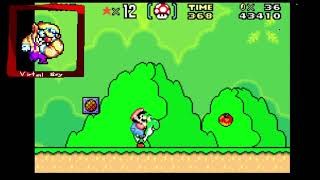 Super Mario Advance 2 Gameplay