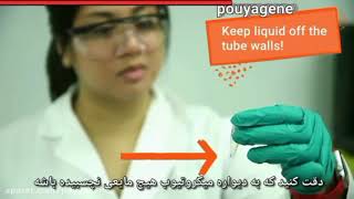 مرحله ligation در کلونینگ ژن