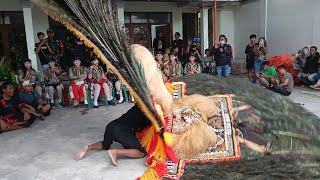 SOLAH PEMBARONG REOG PONOROGO SETELAN KAWAK JUOS LUR KUPU TARUNG#dadakmerak #pembarong