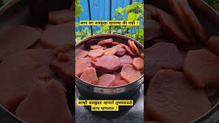 वर्षातून एकदाच मिळणारा रानमेवा वलकुंद्या #shorts #viral #aagrikoli #youtubeshorts