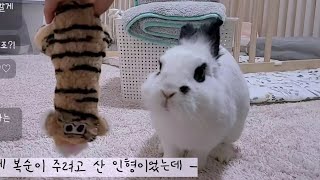 복순이 3살..맞죠?