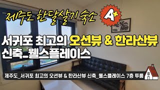 제주도 #한달살기 숙소_서귀포 최고의 오션뷰 & 한라산뷰 신축_웰스플레이스 7층 투룸