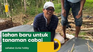 LAHAN BARU UNTUK TANAMAN CABAI