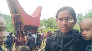 Rangkaian Tradisi Rambu Solo' berbiaya Milyaran di Tongkonan Ne'Liling Tabang Malakiri Toraja Utara