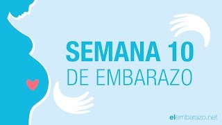 Semana  10 de embarazo | 10 semanas de embarazo | El embarazo semana a semana