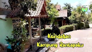 Suasana keindahan kampung rancapaku, lingkungan sederhana tenang dan nyaman bikin betah!