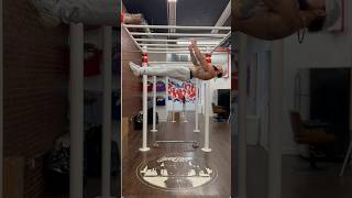 The ultimate guide to dog front lever | Dog front lever | Unleashing the Front Lever | Limitless NYC