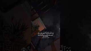 مقطع قرأني ١٨٤٨