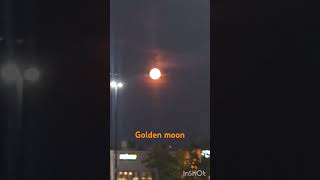 Golden moon黄金月亮