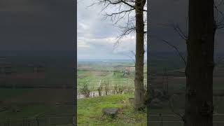 #shorts #overlooking #heilbronn #germany #nature #amazing #vineyard