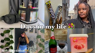 Days in my life 🍃 | living alone diaries | life of a Nigerian girl | valentines 💌