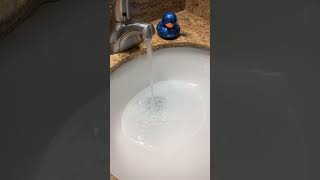 Bathtub Filling ASMR Short // Full Sink Fill with a Blue Duck  #watersounds #relax #dripdrip