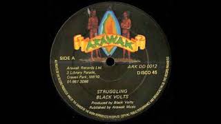 ReGGae Music 906 - Black Volts - Struggling [Arawak]