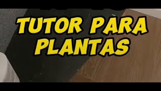 HOY HACEMOS UN TUTOR PARA NUESTRAS PLANTAS