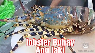 #Lobster live 1.9kg head #Chinese soup body #termidor yummy