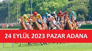 24 EYLÜL 2023 PAZAR ADANA AT YARIŞI TAHMİNLERİ VE YORUMLARI