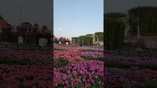 Miracle Garden Dubai