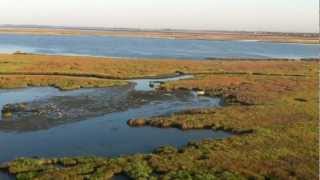 Venice Lagoon Paramotor Flight August 2012