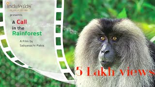 #awardwinning #documentary A Call in the Rainforest | #liontailedmacaque #wildlife #nature #india