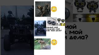 #atv #квадроцикл #хзчёписать