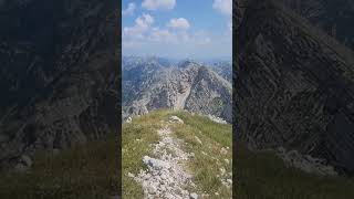 Edelweiß in the Julian Alps above Lake Bohinj in Slovenia