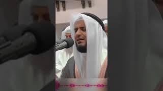 Daily shorts Quran recitation