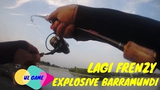 EXPLOSIVE BARRAMUNDI BIKIN KAGET-KAGET - ULTRALIGHT FISHING