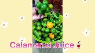 Calamansi Juice and how to freeze them