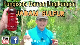 Fungisida  Jadam Sulfur Fungisida  Organik Yang Ramah Lingkungan