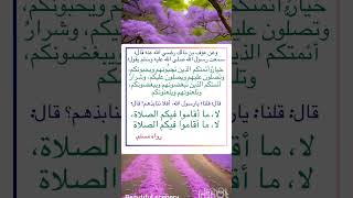 #حديث_شريف‬⁩ ⁧‫#رواه_مسلم‬⁩ ⁧‫#أخرجه_مسلم‬⁩ #السنة_النبوية