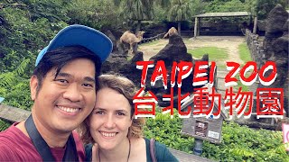 Awesome Taipei Zoo Experience (台北動物園)