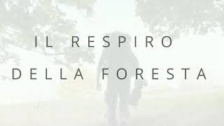 Il respiro della foresta.