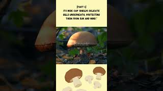 "The Unveiling of the Giant Mushrooms: Just How Big Can They Get?" #shorts